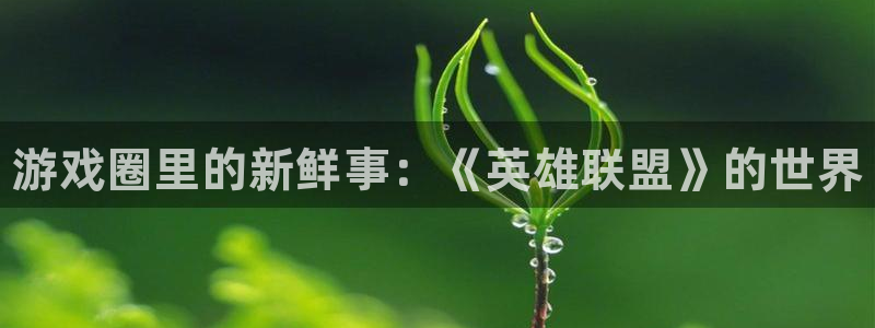赢咖娱乐平台注册开户：游戏圈里的新鲜事：《英雄联盟》的世界