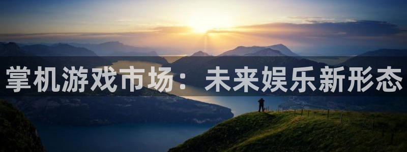 赢咖娱乐登陆：掌机游戏市场：未来娱乐新形态