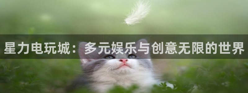 赢咖娱乐登录网址：星力电玩城：多元娱乐与创意无限的世界