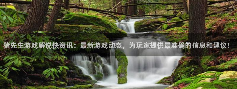 赢咖娱乐登陆：猪先生游戏解说快资讯：最新游戏动态，为玩家提供