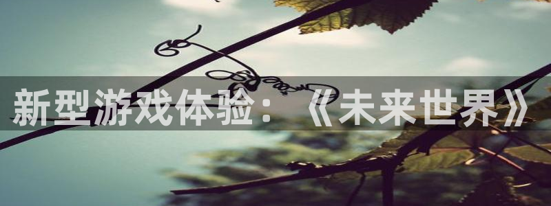 赢咖娱乐登录：新型游戏体验：《未来世界》