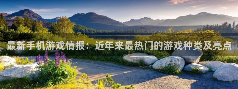 赢咖娱乐娱乐：最新手机游戏情报：近年来最热门的游戏种类及亮点