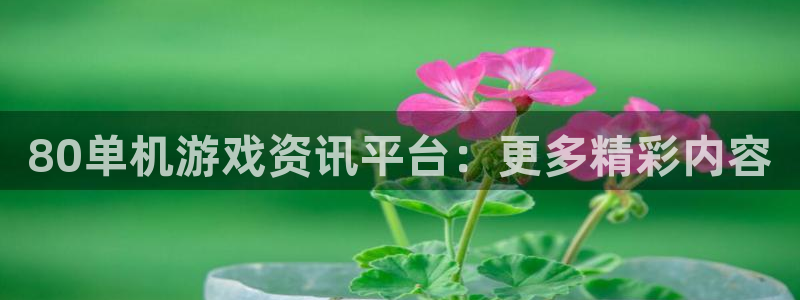 赢咖娱乐登录地址：80单机游戏资讯平台：更多精彩内容