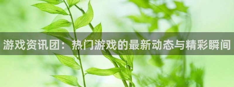 赢咖娱乐注册服务条款：游戏资讯团：热门游戏的最新动态与精彩瞬