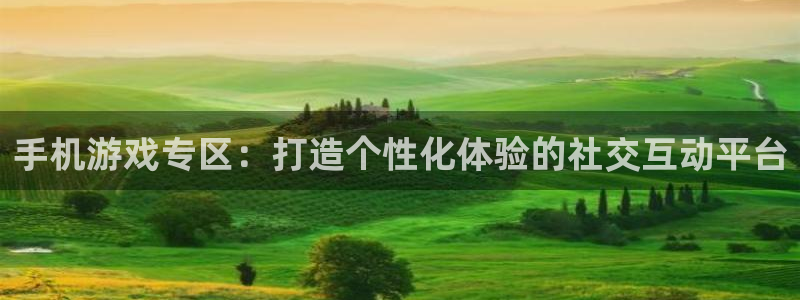 赢咖娱乐平台注册资金多少：手机游戏专区：打造个性化体验的社交
