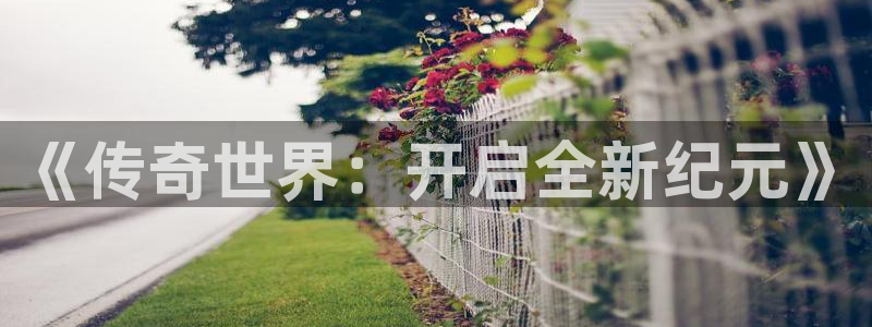 赢咖娱乐官方平台：《传奇世界：开启全新纪元》