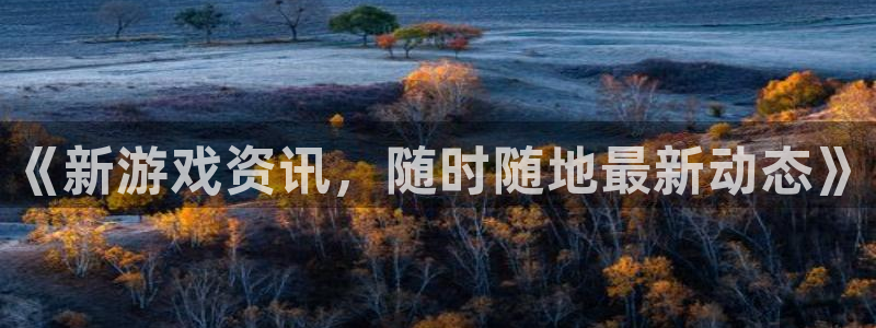 赢咖娱乐平台登录：《新游戏资讯，随时随地最新动态》